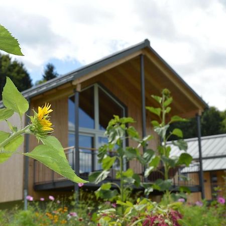 Villa Frongahof Waldkirchen Esterno foto